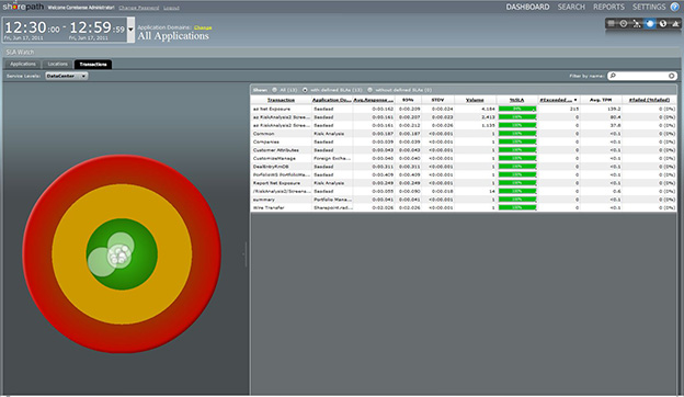 A view of the Radware APM dashboard